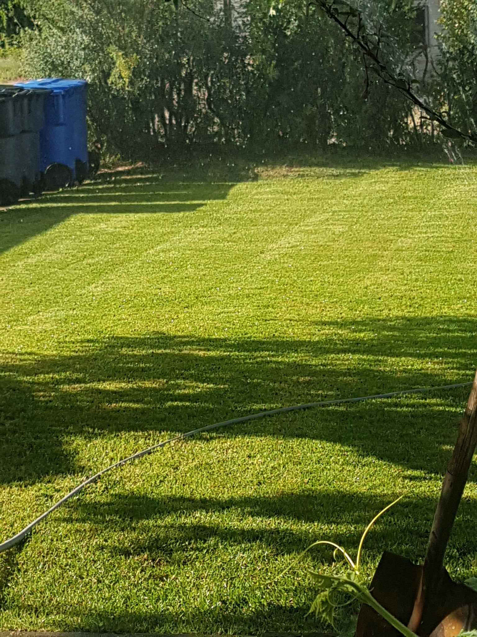 J&T Lawncare Facebook ad: Get the Best Lawn on the Block, Without…