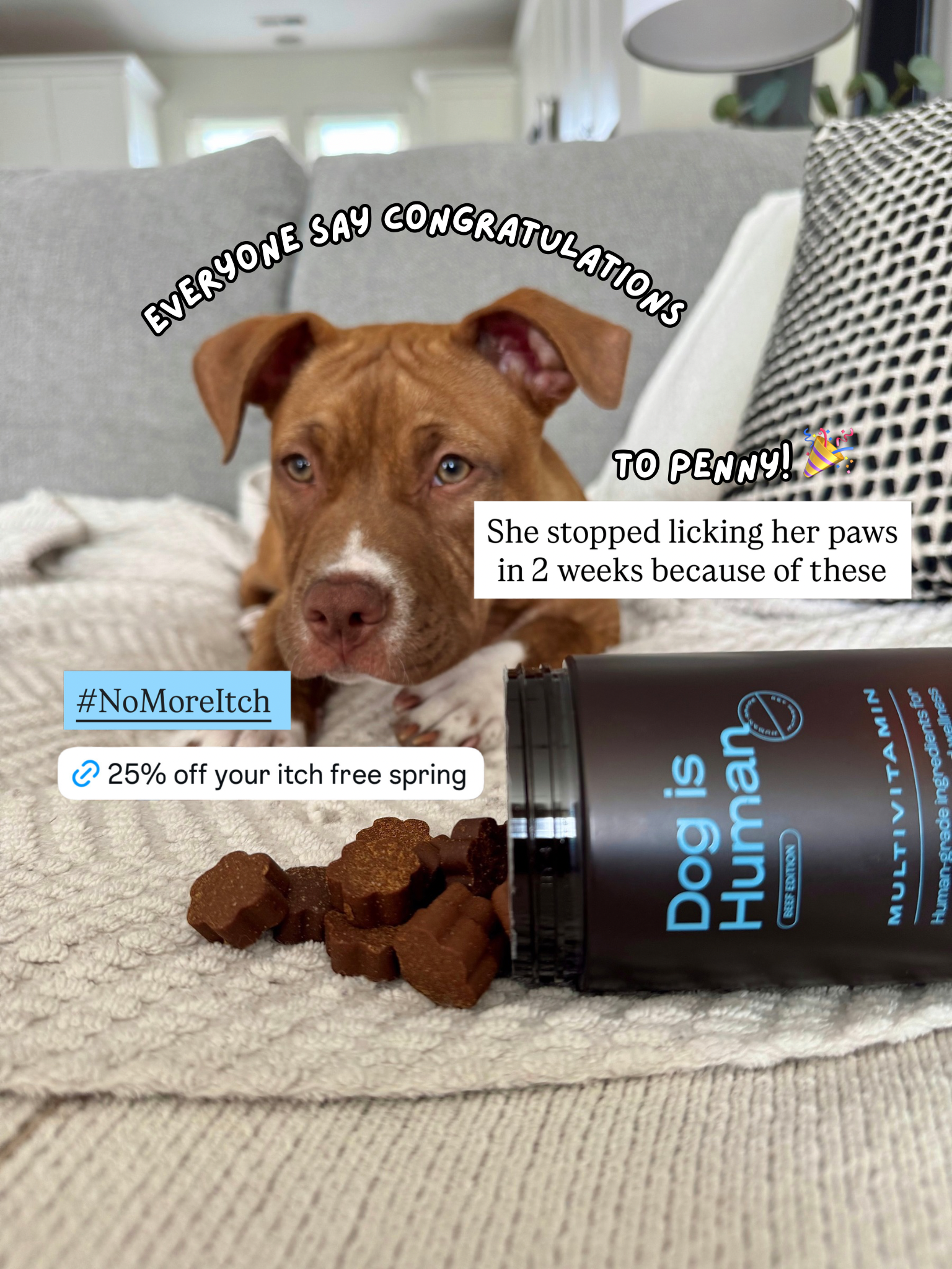 Dog is Human Facebook ad