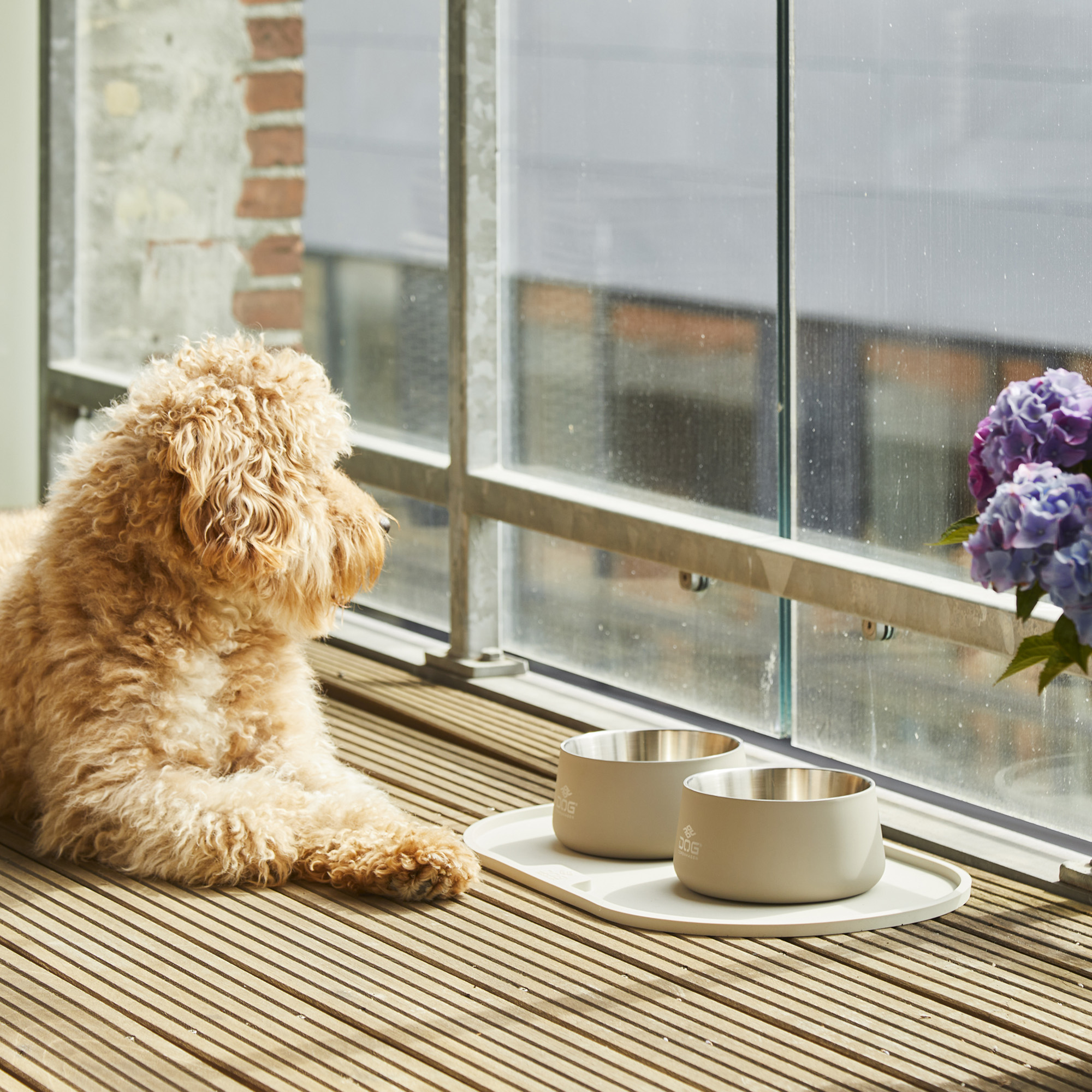 DOG Copenhagen Facebook ad