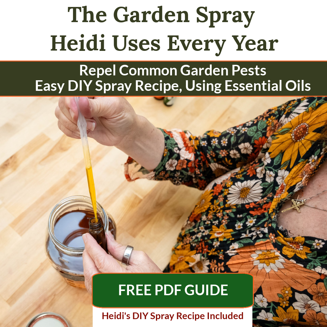 Healing Harvest Homestead Facebook ad: The Garden Spray Heidi Uses Every Year