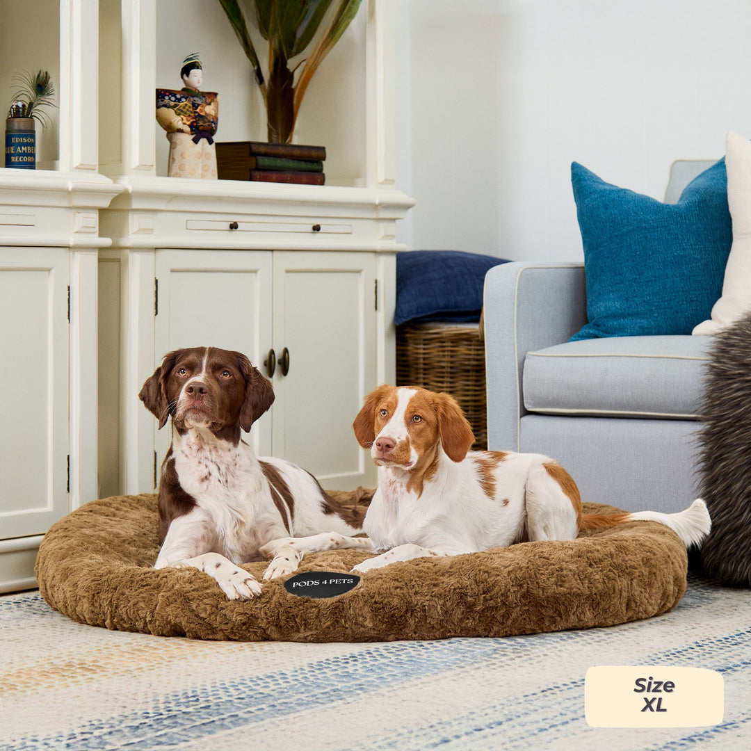 Pods 4 Pets Facebook ad
