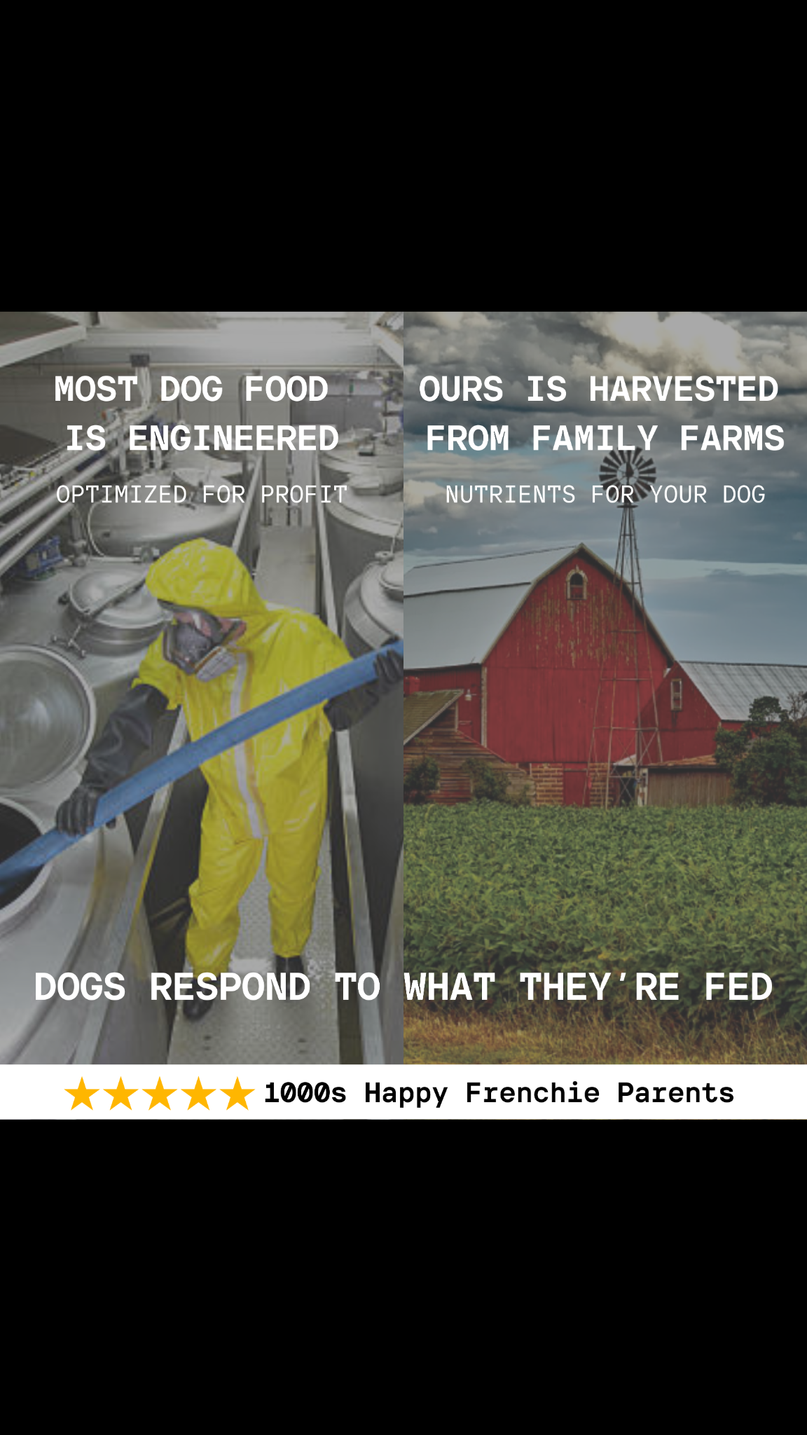 Fresh Frenchie Facebook ad