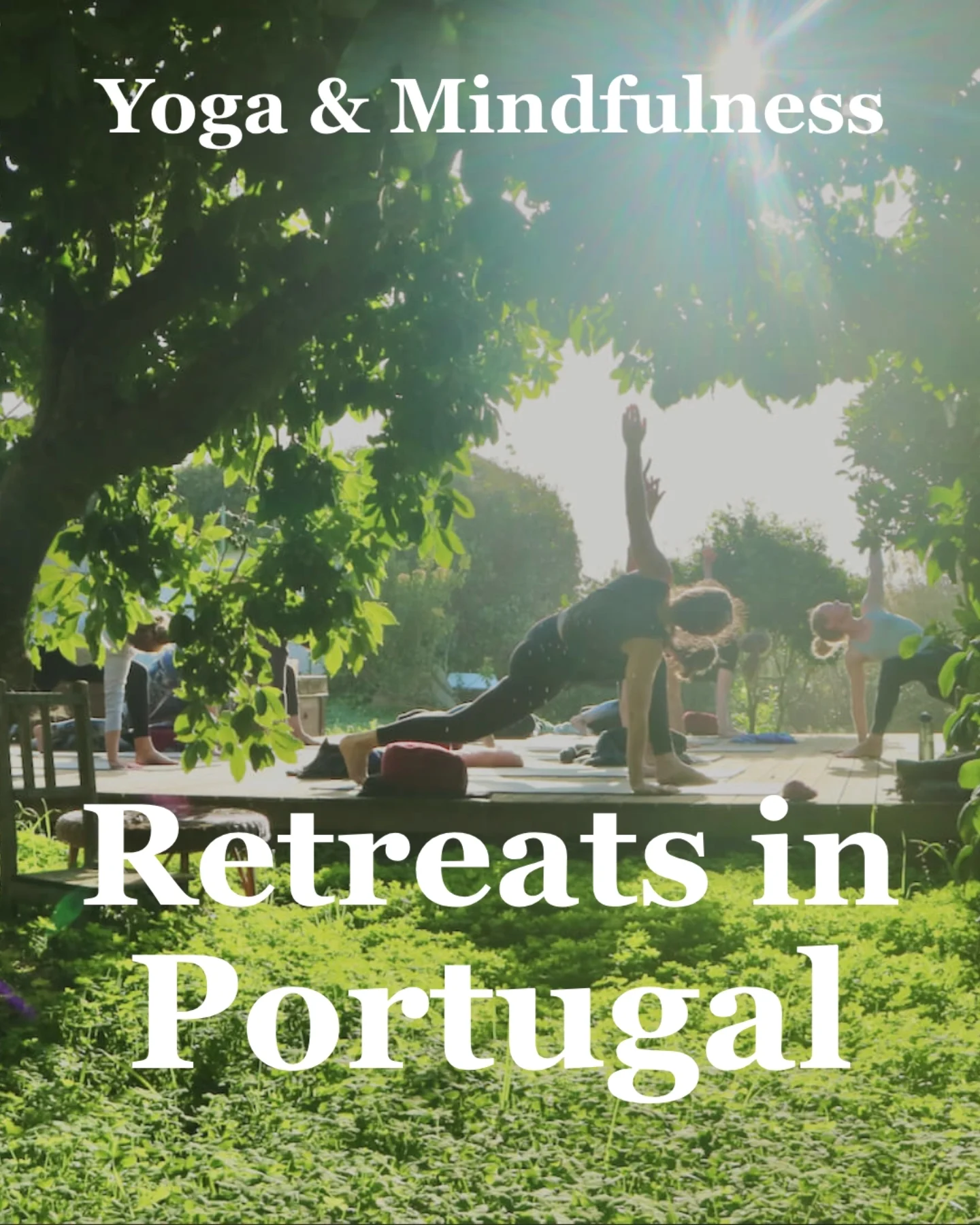 WOLFS YOGA - Yoga Retreats Algarve, Portugal Facebook ad