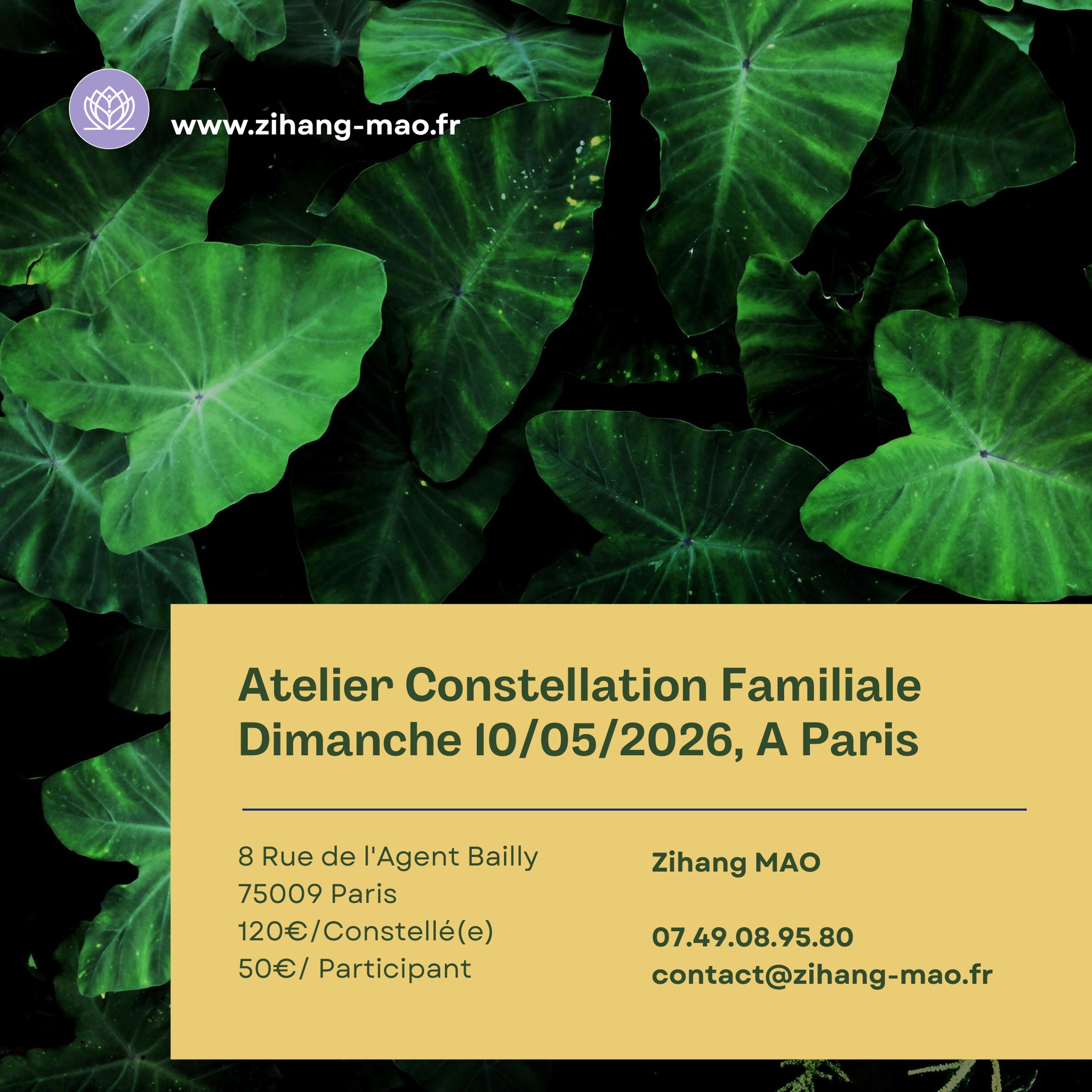 Zihang MAO/Animatrice en Constellation Familiale et en Somatic Experiencing Facebook ad: Zihang MAO - Praticienne en accompagnement psychologique…