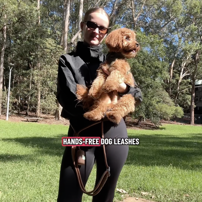 Runpup Facebook ad: Calmer Walks Start Here