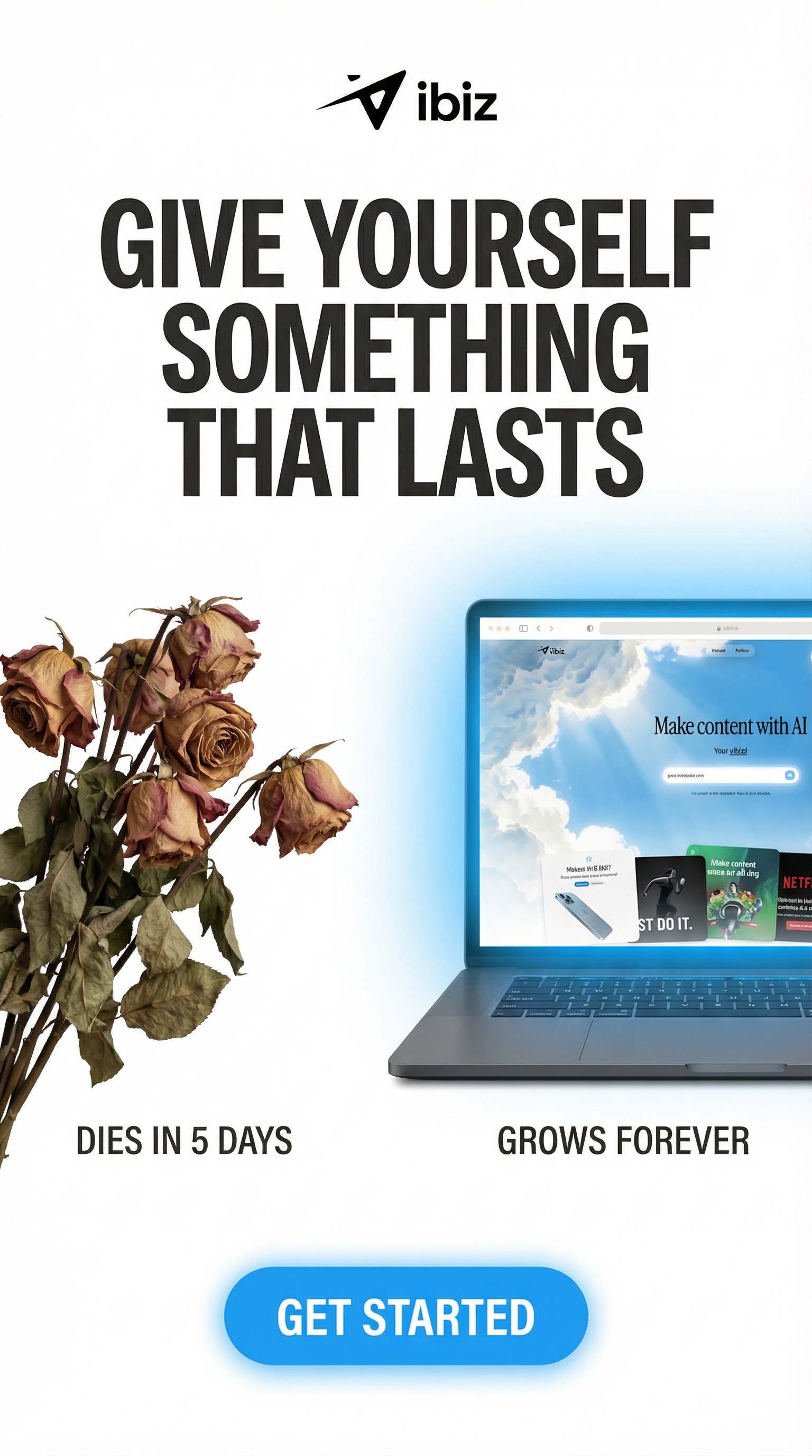 Vibiz Facebook ad