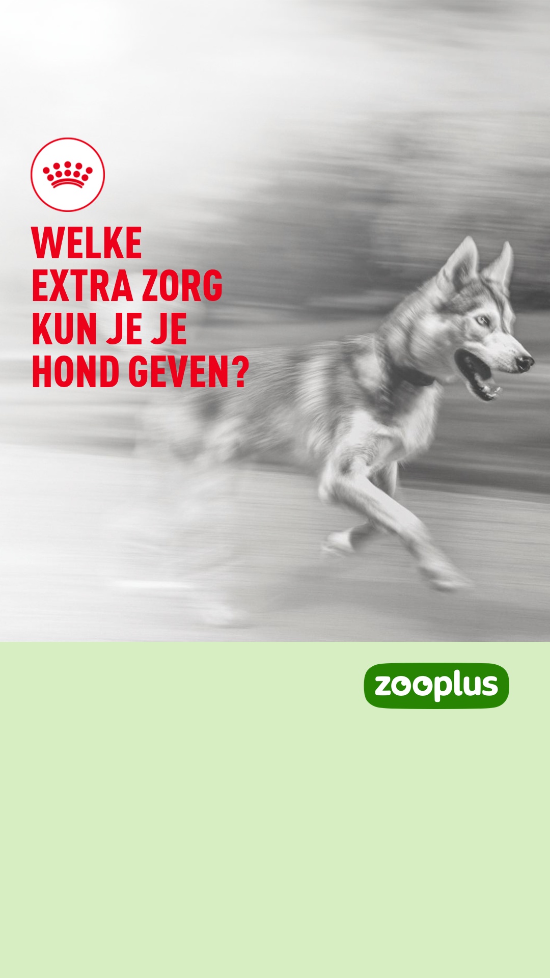 zooplus Facebook ad