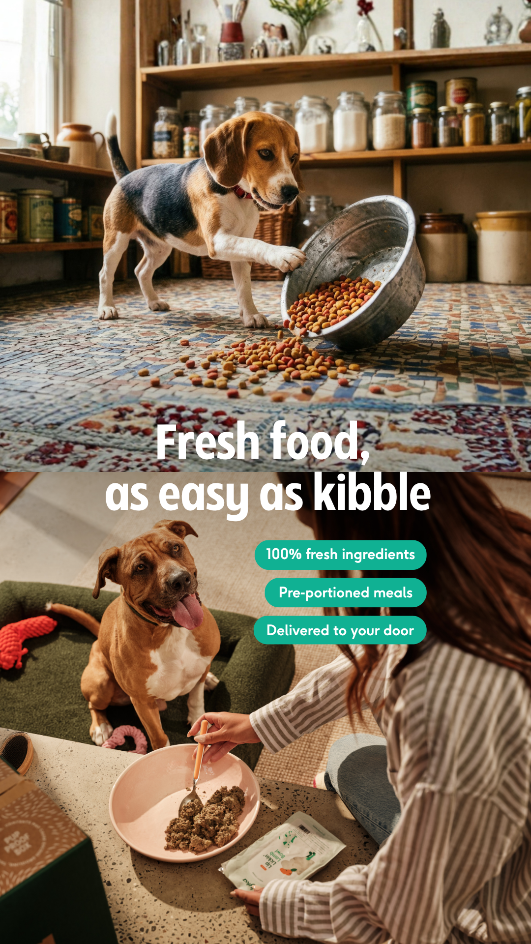 Lyka Pet Food Facebook ad