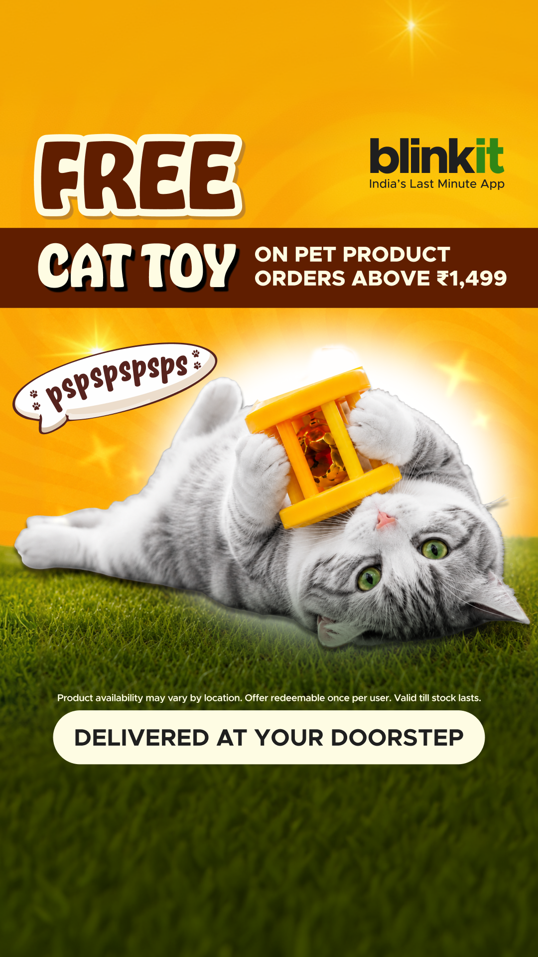 blinkit Facebook ad