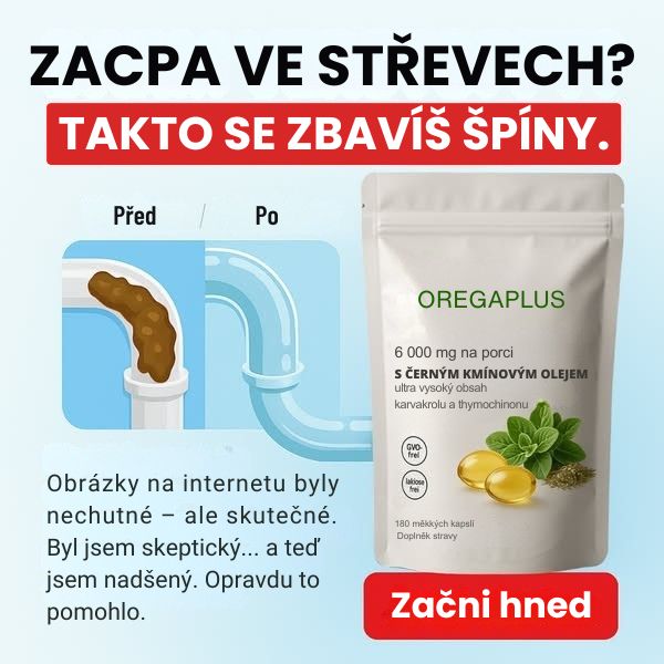 Vlastimil Hradecký Facebook ad from May 12, 2026