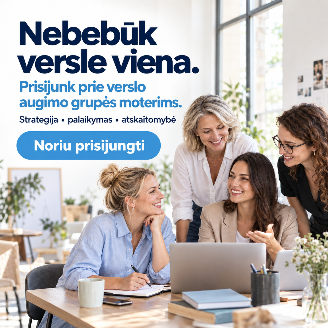 Verslo sparnai Facebook ad: LIKO 3 VIETOS