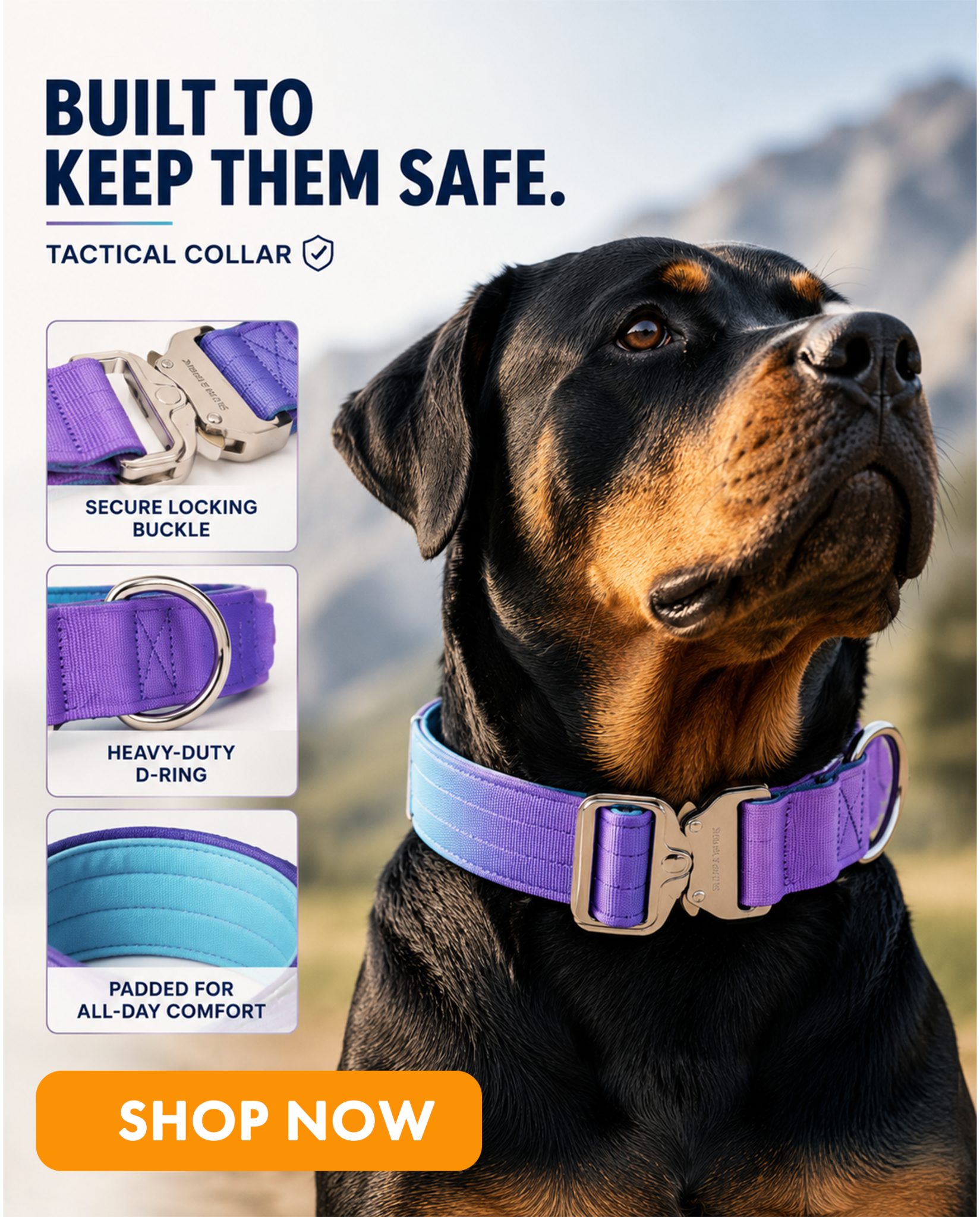 Spark Paws Facebook ad