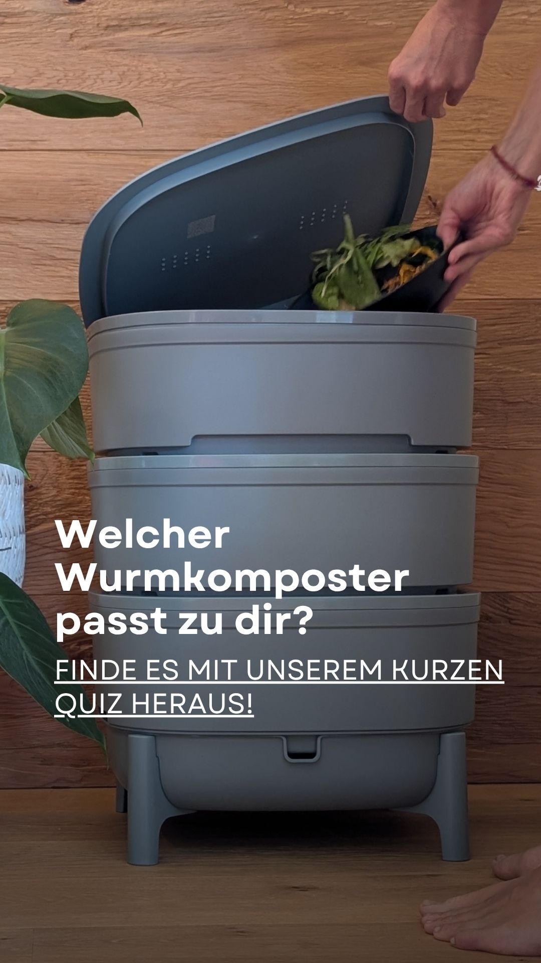 wurmkiste.at Facebook ad