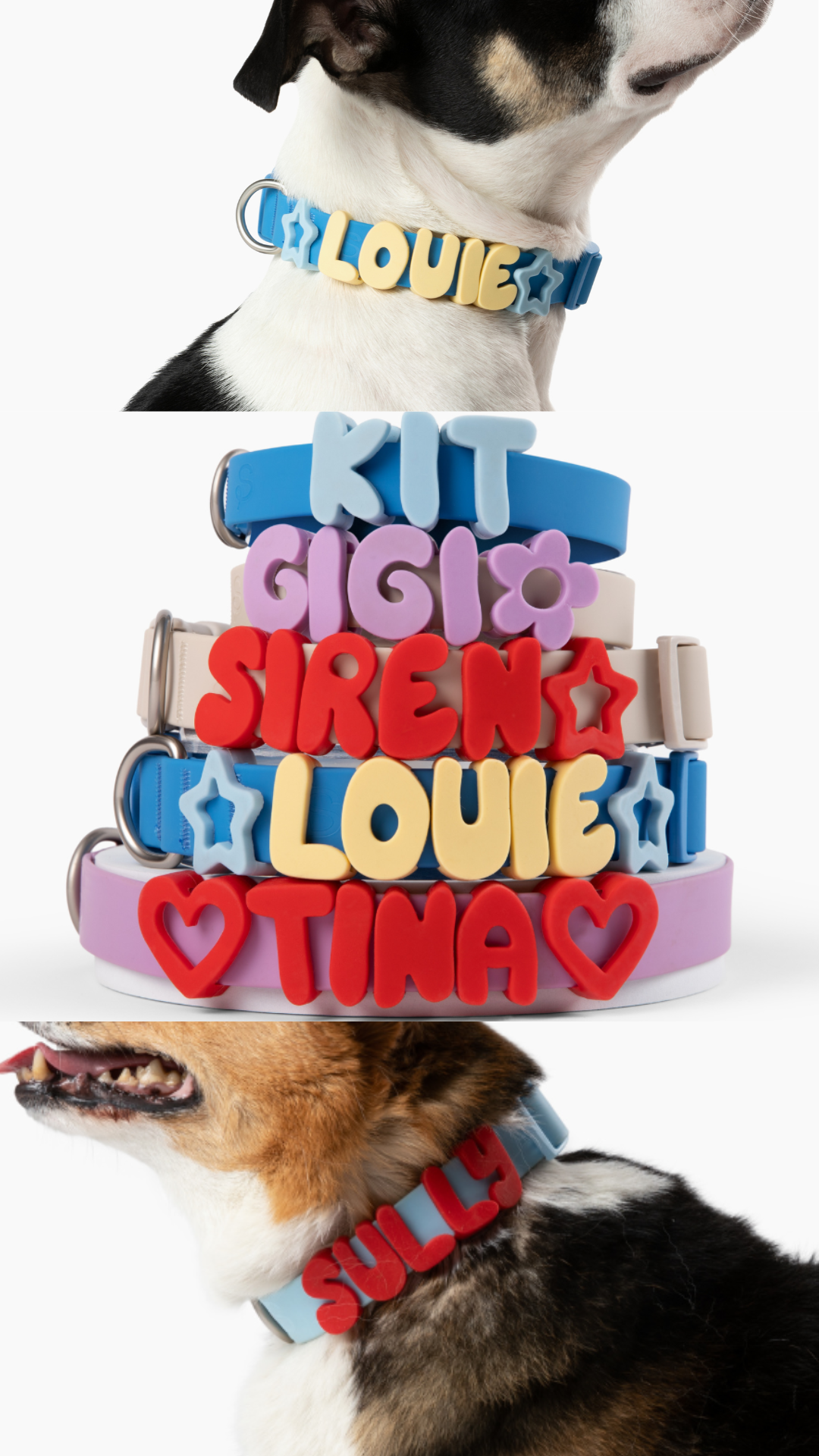 Springland Pets Facebook ad