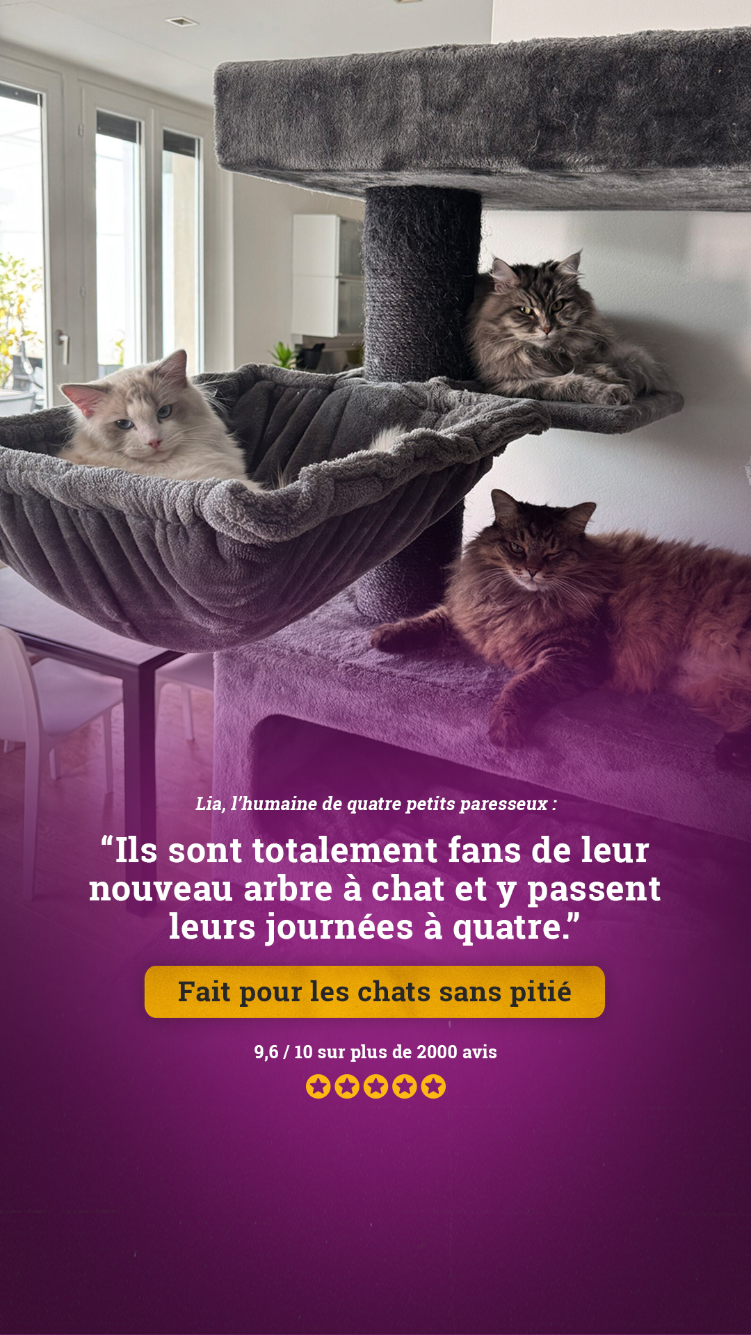 petrebels.com Facebook ad