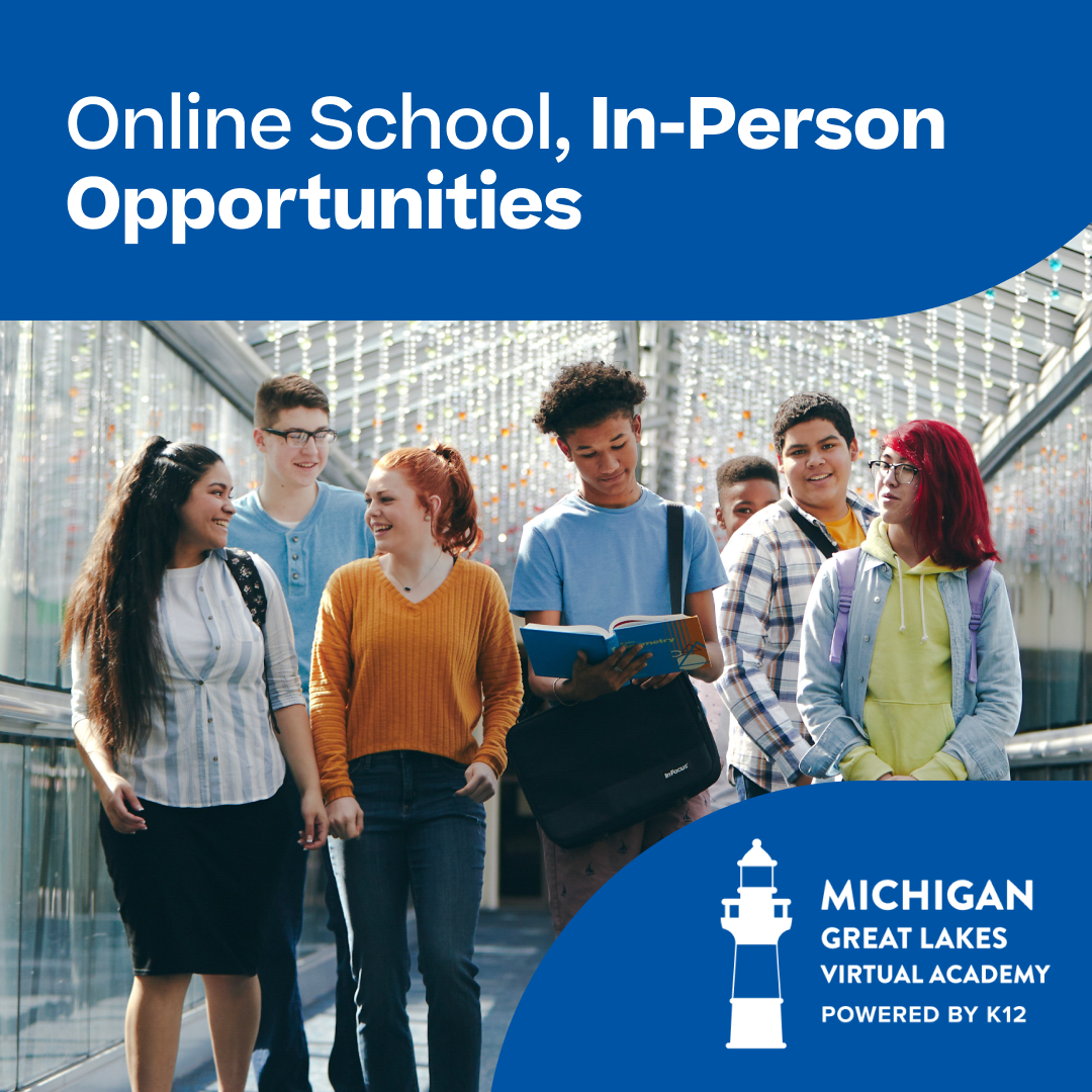 Michigan Great Lakes Virtual Academy Facebook ad