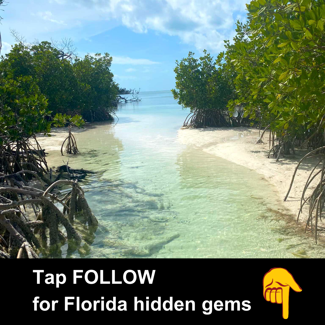 Florida Day Trips Facebook ad: If you LOVE Florida, then Follow this page.