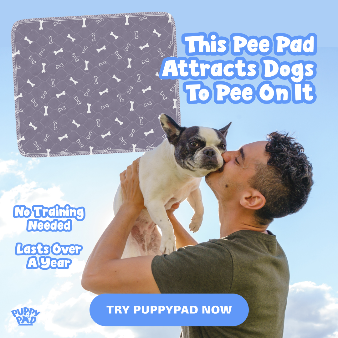 PuppyPad Facebook ad