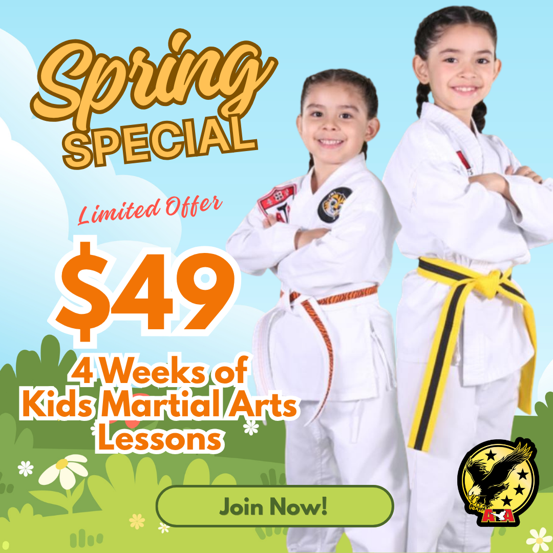 ATA Park Karate Facebook ad: Confidence Starts This Spring - Only $49