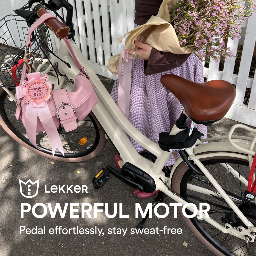 Lekker Bikes Facebook ad