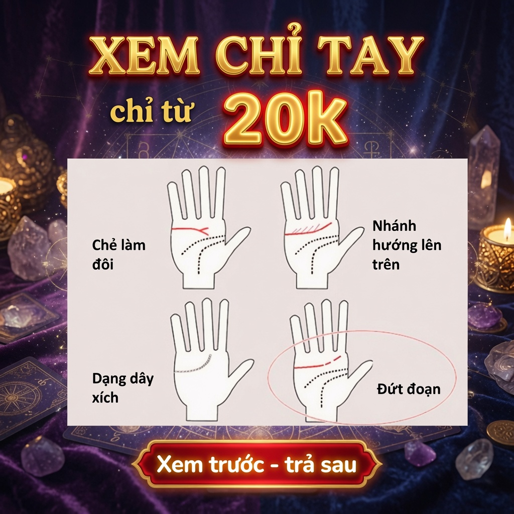 Chúi Tarot - Tử Vi, Chỉ Tay, Duyên Số Facebook ad