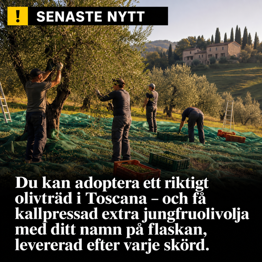My Italian Olive Dream Facebook ad: Ditt träd har ett eget nummer