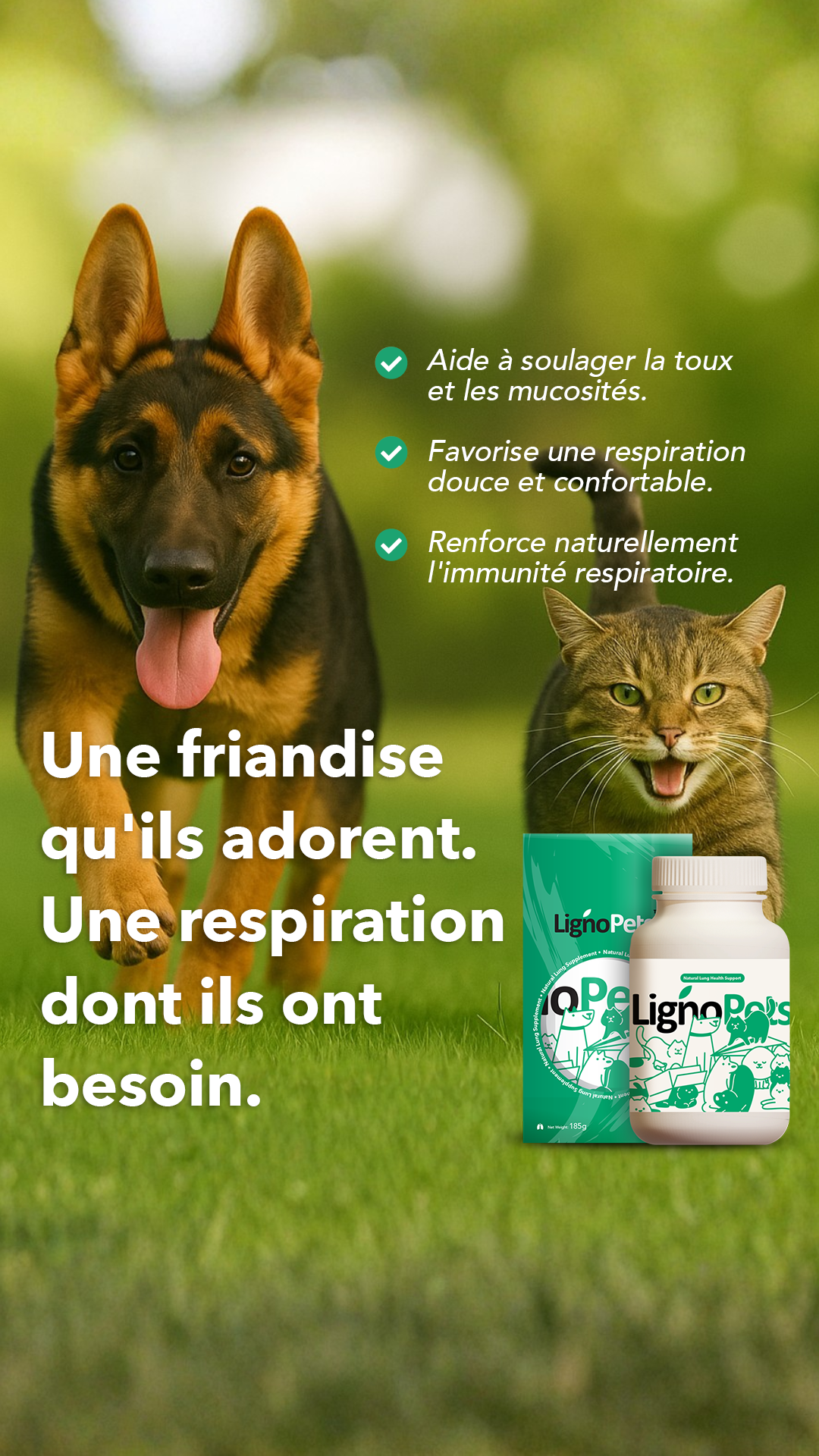 Lignosus Europe Facebook ad