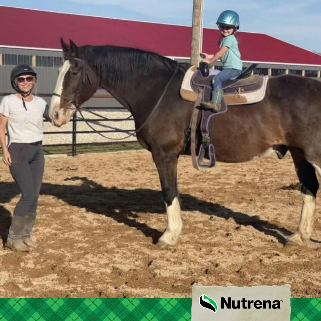 Nutrena Feed Facebook ad: See the Difference: Horse Feed Trial