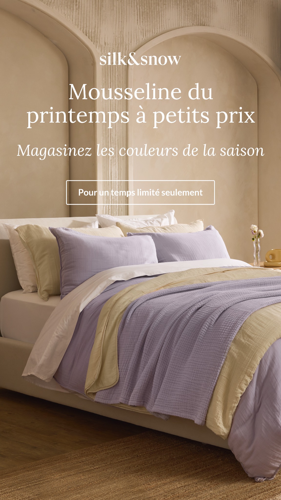 Maison Silk & Snow Facebook ad