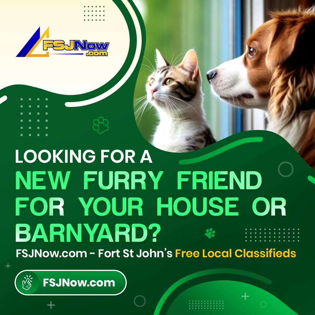 FSJNow Classifieds Fort St John Facebook ad: FSJNow.com Classifieds, Proudly Serving Fort St. John, BC…