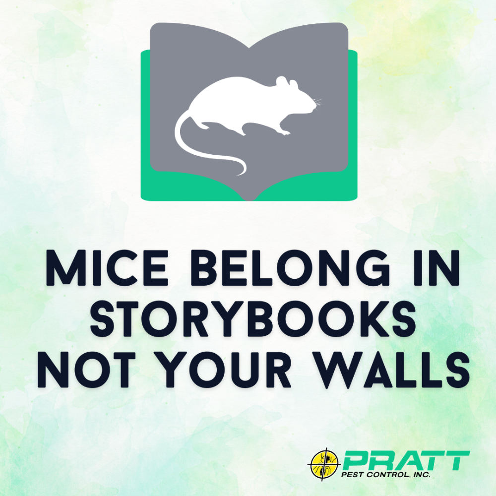 Pratt Termite & Pest Control Facebook ad