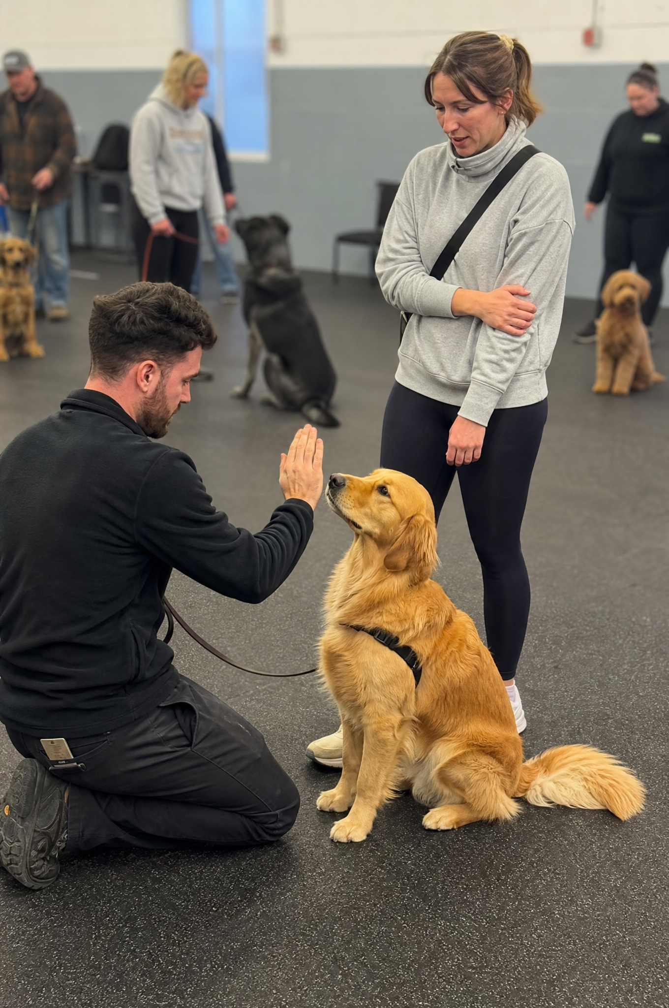 Dog Training Tips & Support Facebook ad