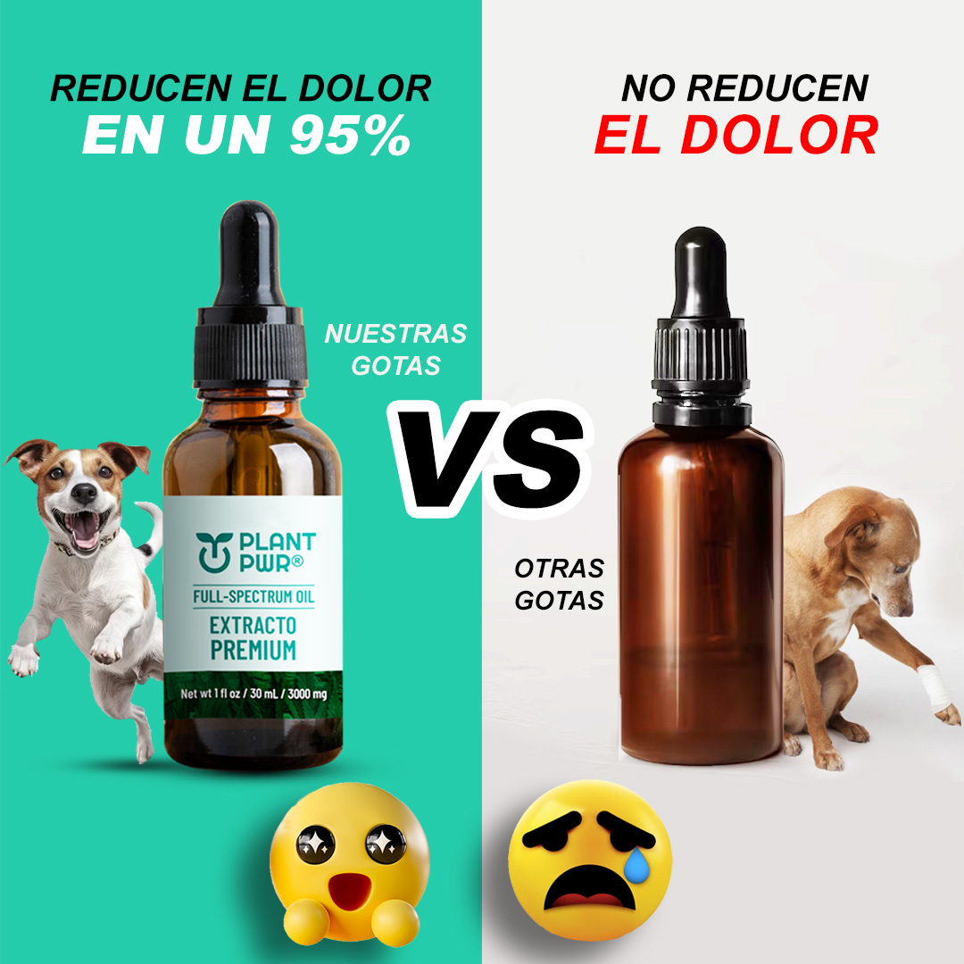 Ola Verde Store Facebook ad: Promoción por tiempo limitado