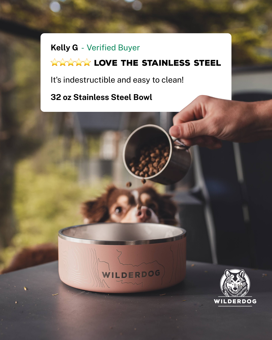 Wilderdog Facebook ad