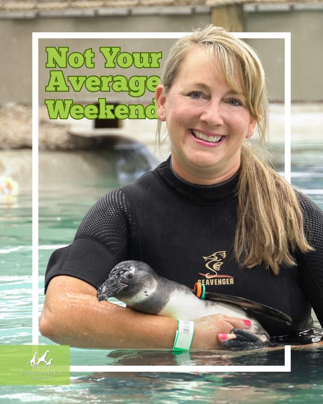 Tanganyika Wildlife Park Facebook ad