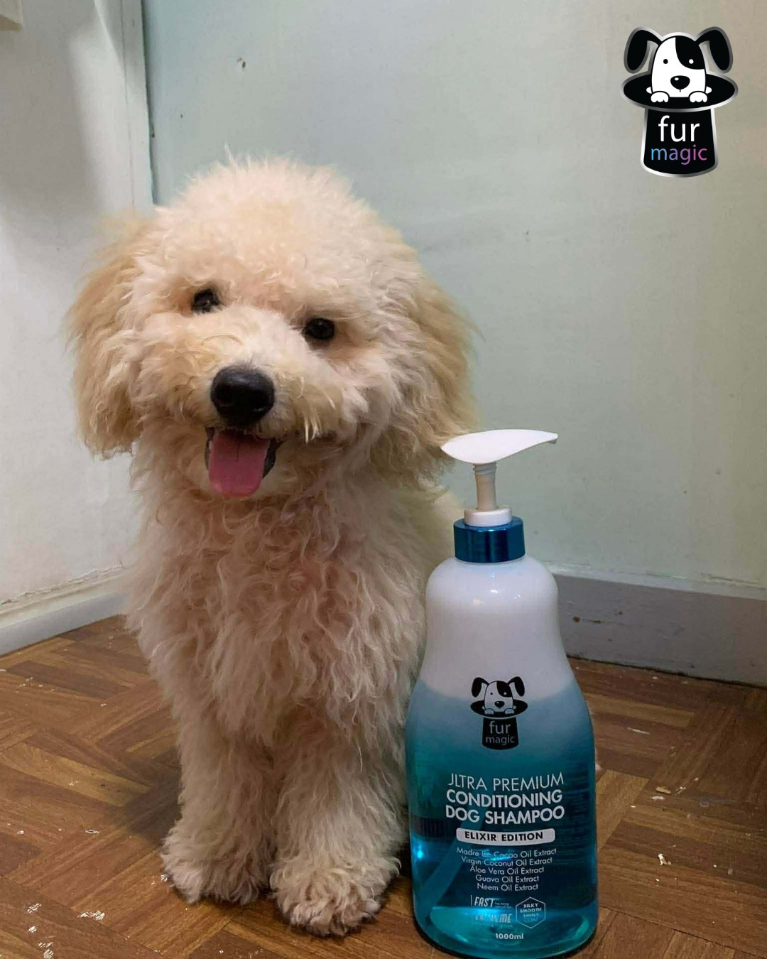 Furmagic Facebook ad