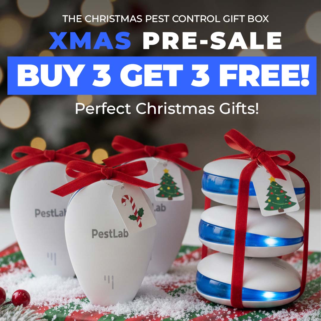 Pestlab Co Facebook ad