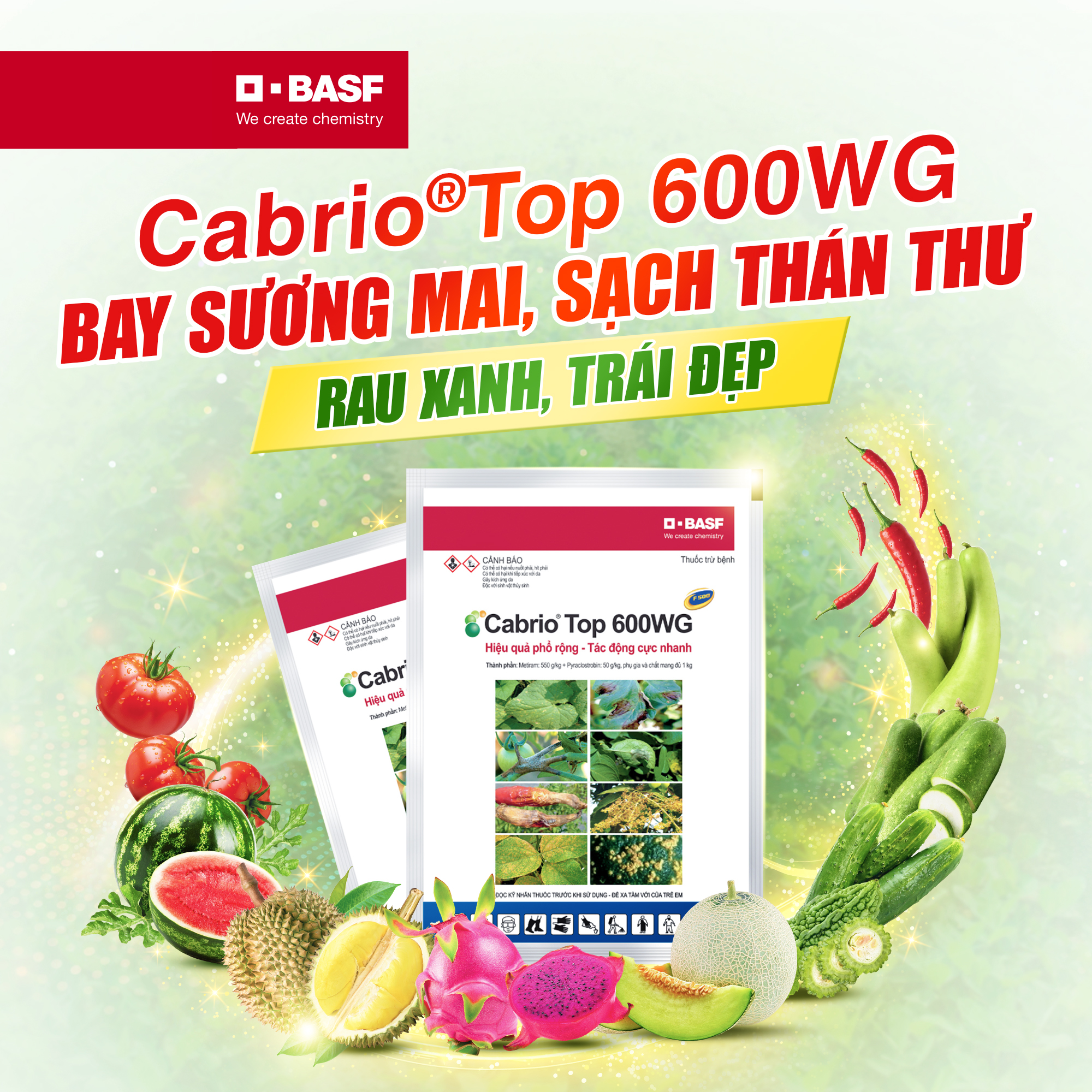 BASF Ngành Bảo Vệ Thực Vật Facebook ad: Cabrio Top 600WG, Bay sương mai, sạch thán thư