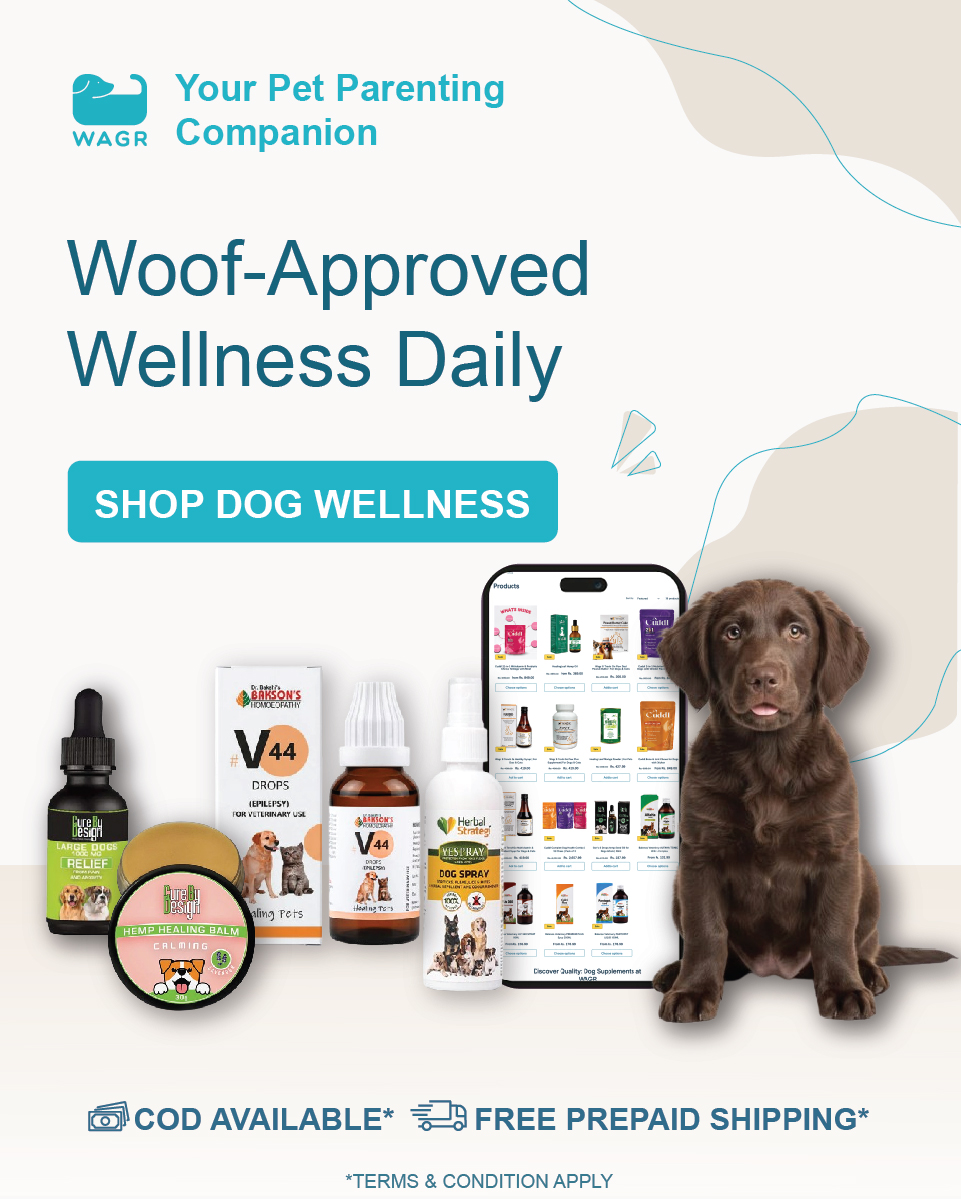 Wagr Facebook ad: Less Searching. More WAGR.