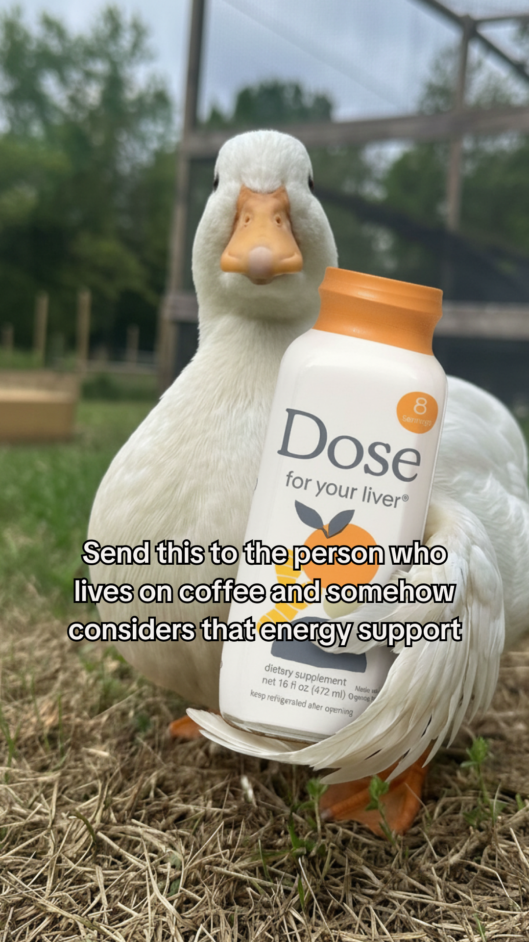 Dose Facebook ad