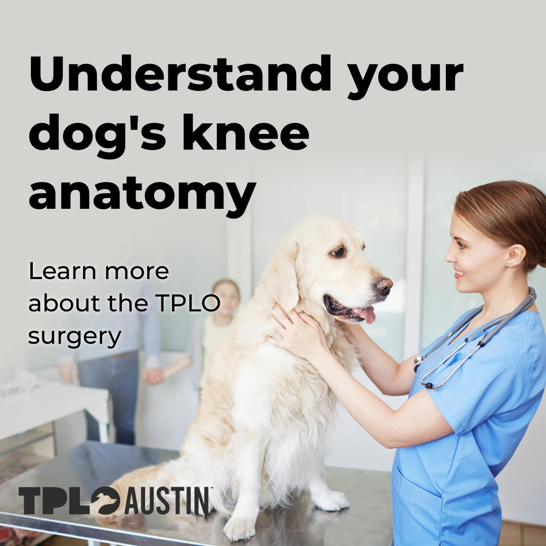 TPLO Austin Facebook ad