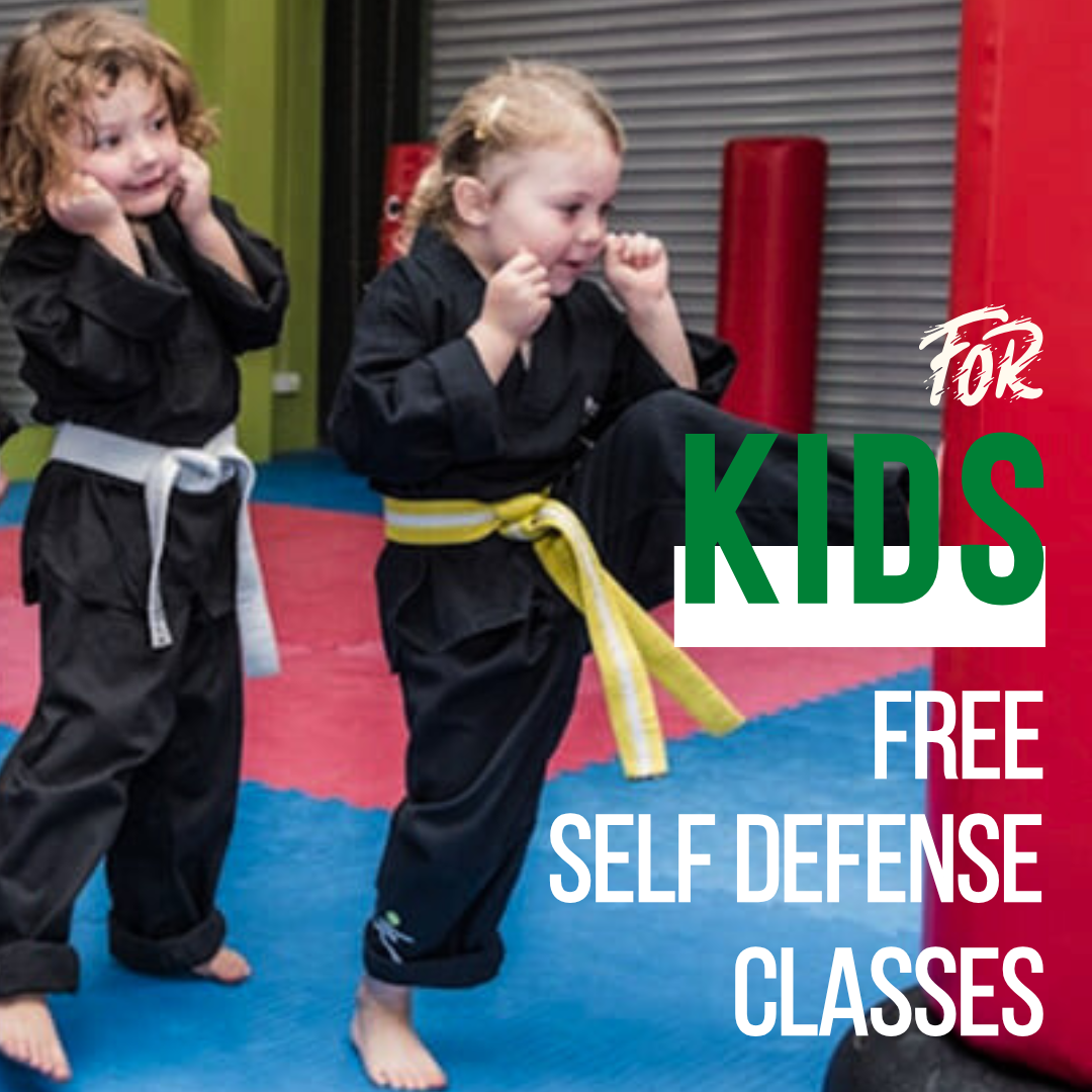 Premier Martial Arts Facebook ad