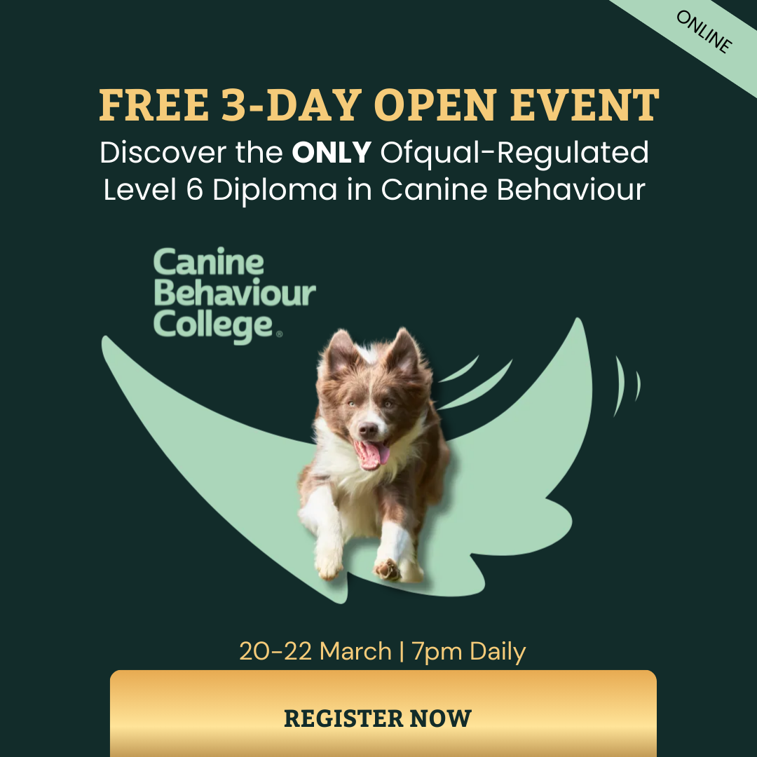 The Canine Behaviour College Facebook ad: Study Canine Behaviour