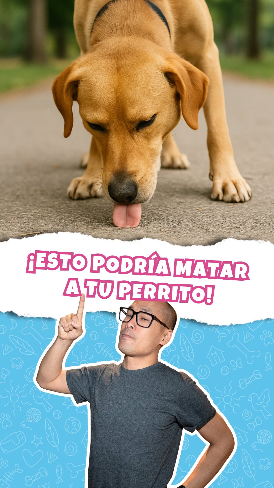 Clínica Veterinaria Acu Li Facebook ad: La leptospira puede estar en cualquier lugar contaminado…