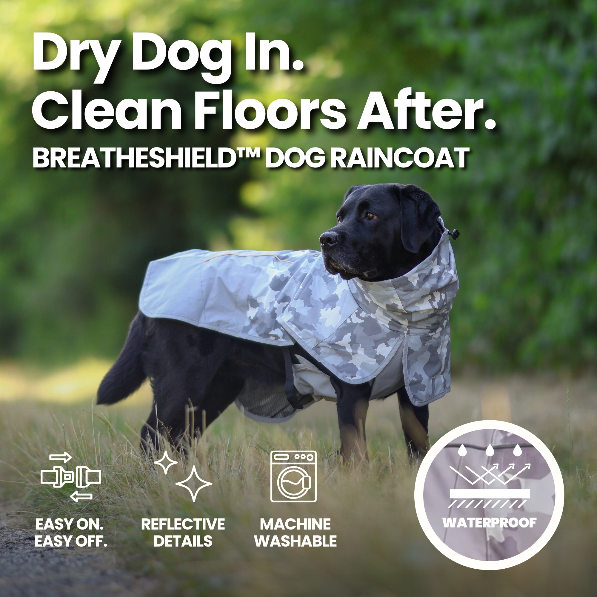 Spark Paws Facebook ad