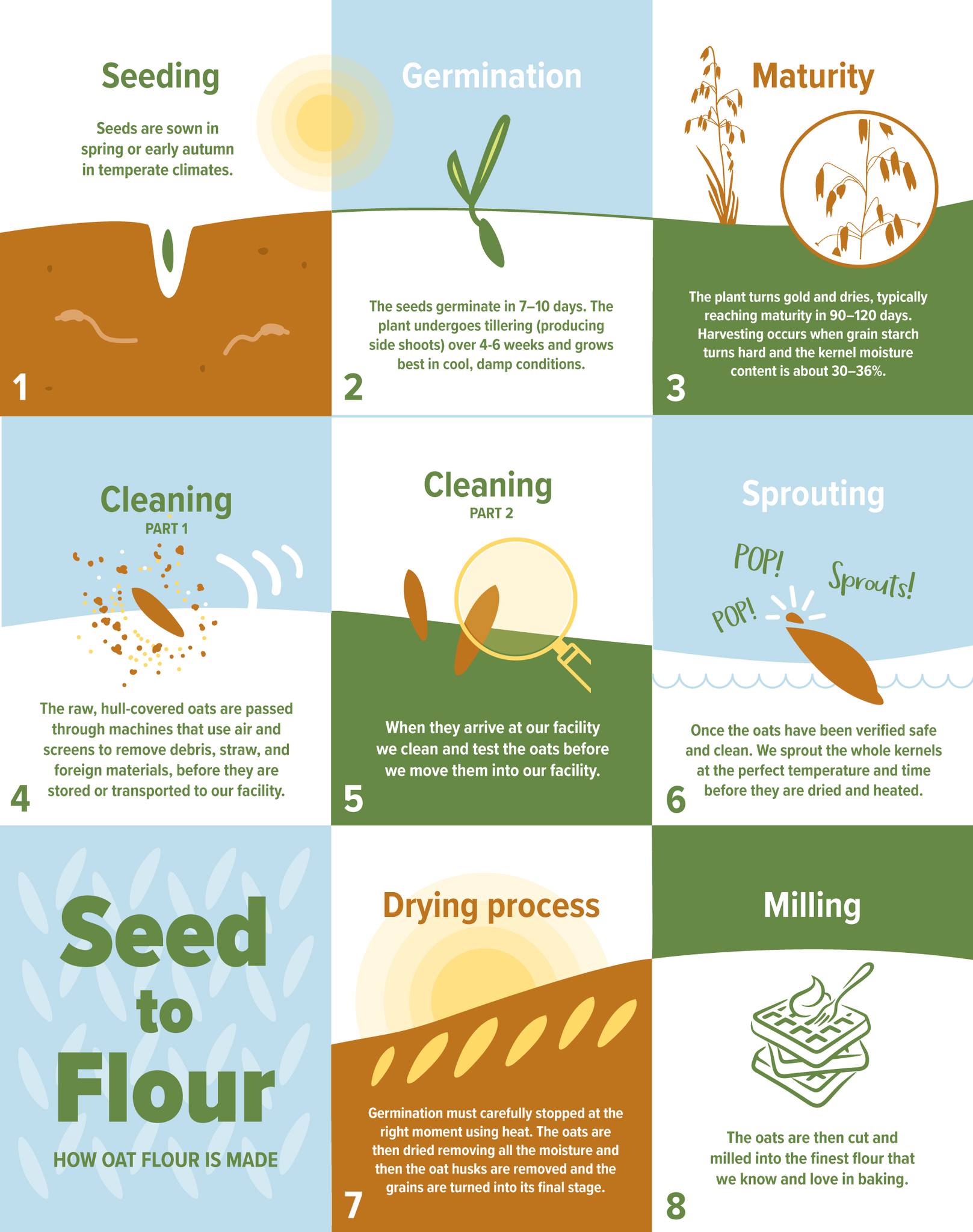 One Degree Organic Foods Facebook ad: What if you could trace your flour all…