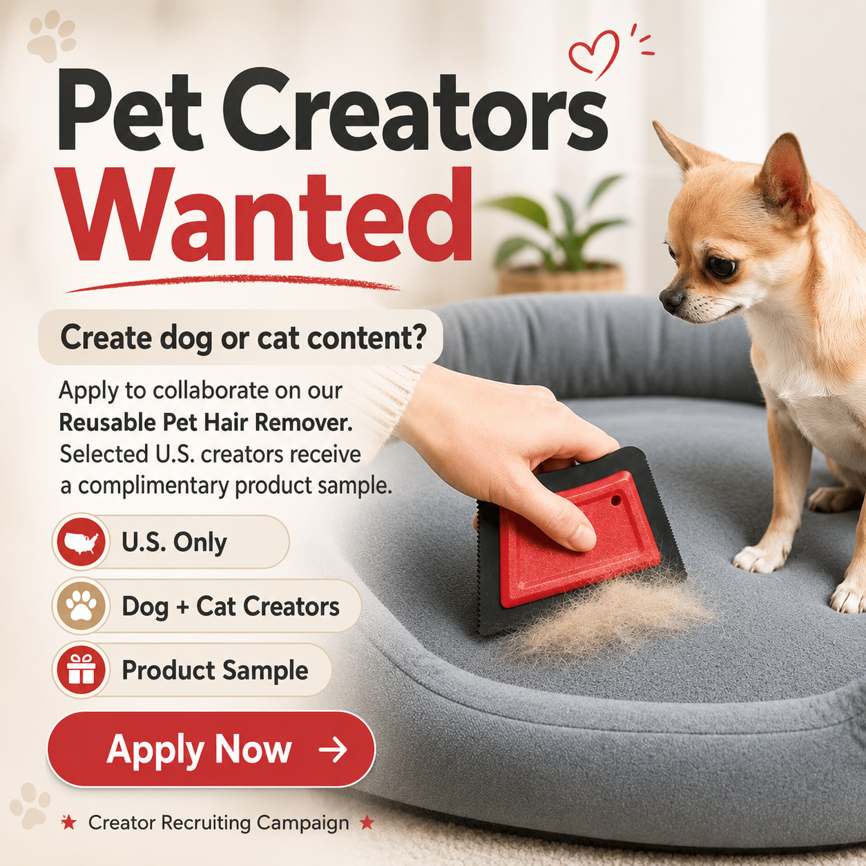 NOVAFAD Facebook ad: Apply to Join Our US Pet Creator Program