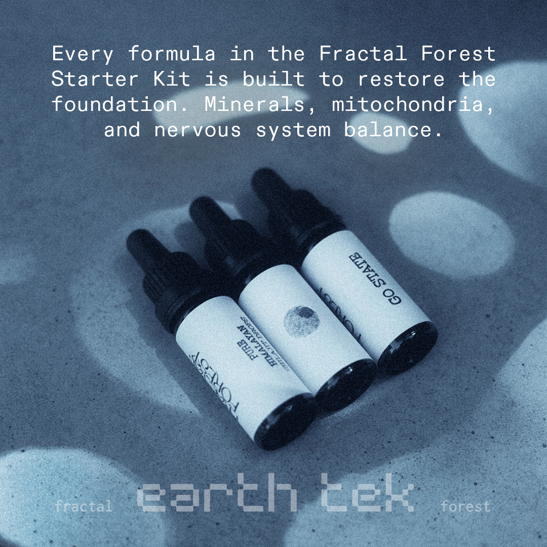 Fractal Forest Facebook ad
