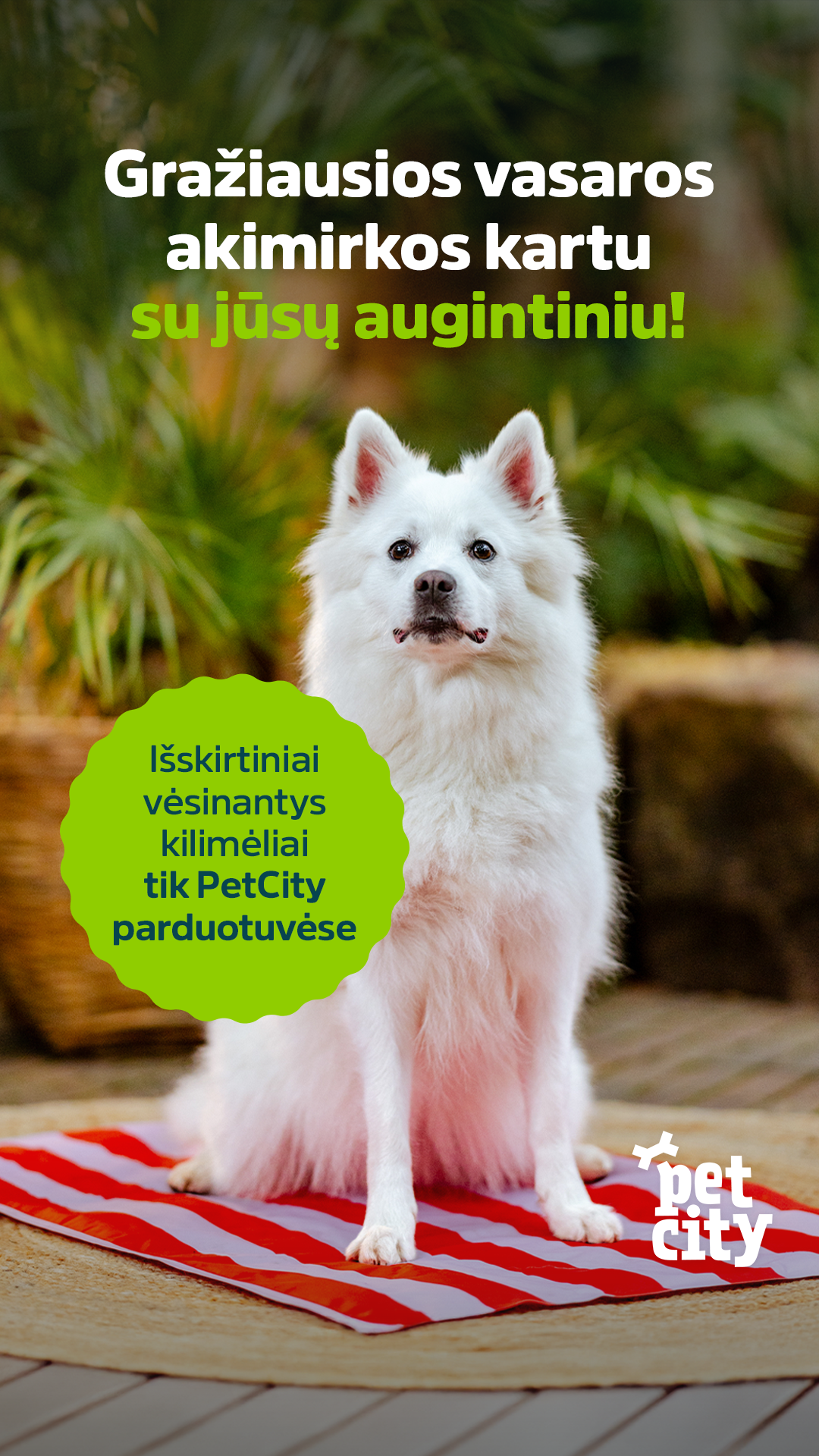 PetCity Lietuva Facebook ad
