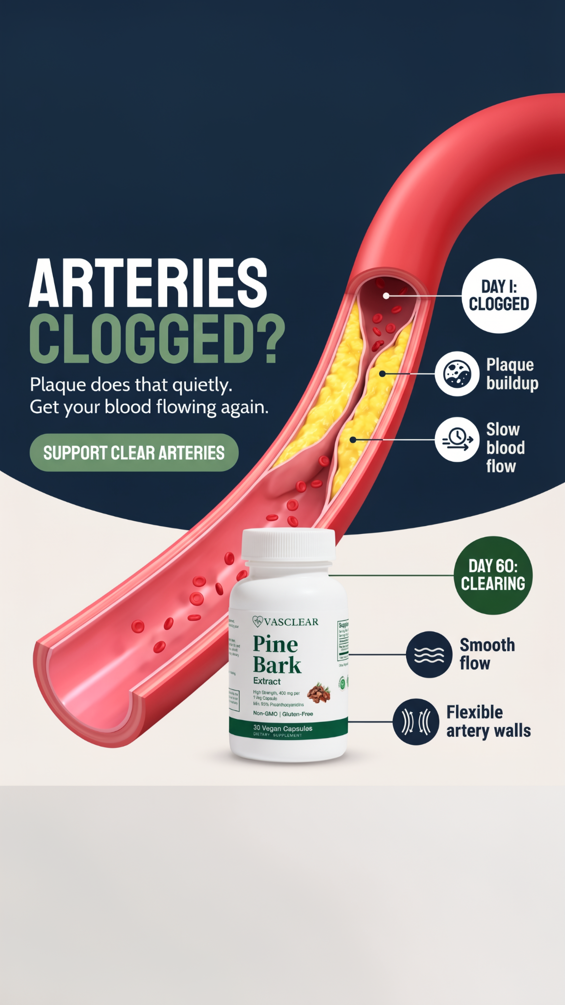 Vasclear Facebook ad: Support Healthy Circulation Naturally